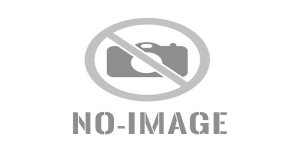 اجتماع مجلي الامناء